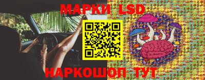 прущие грибы Пушкино