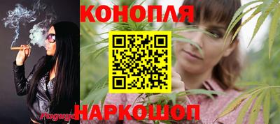 прущие грибы Пушкино
