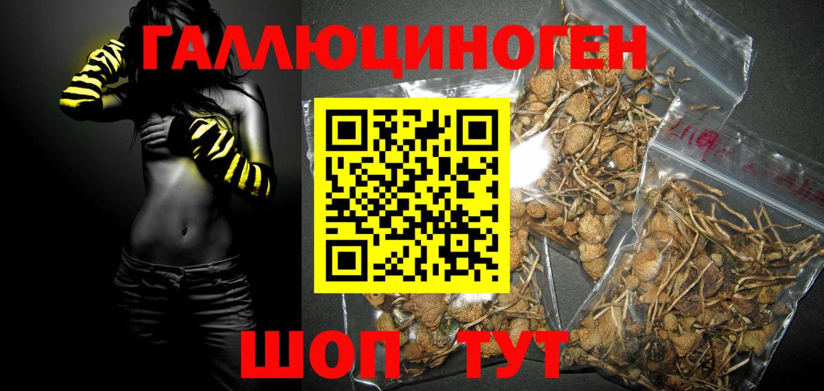 Псилоцибиновые грибы мицелий Сорочинск